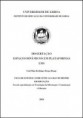 Dezembro 2010: Dissertação de Mestrado "Espaços Dinâmicos em Plataformas LMS"